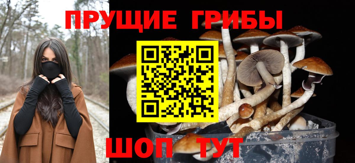 Тамбов  Галлюциногенные грибы MAGIC MUSHROOMS  Вход с VPN  Псилоцибиновые грибы Psilocybe 